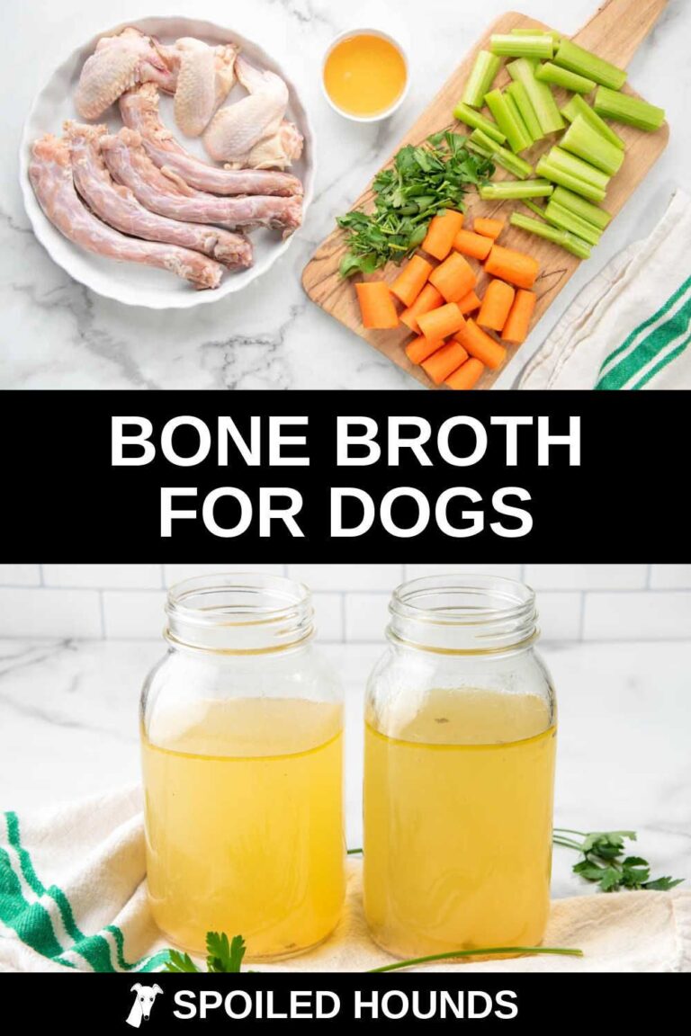 bone broth recipe for dogs