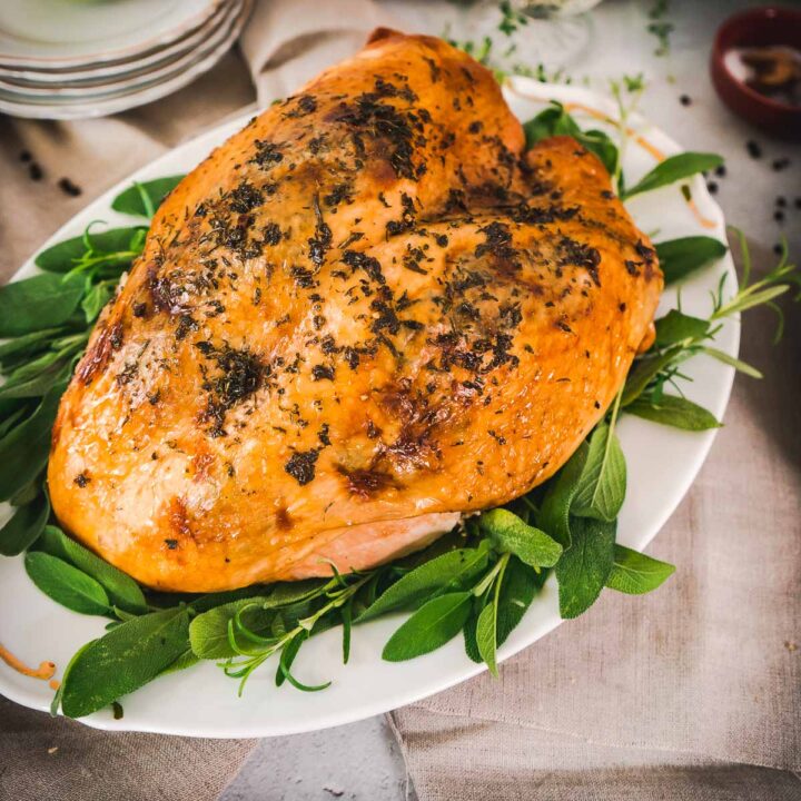 bone in turkey breast recipe