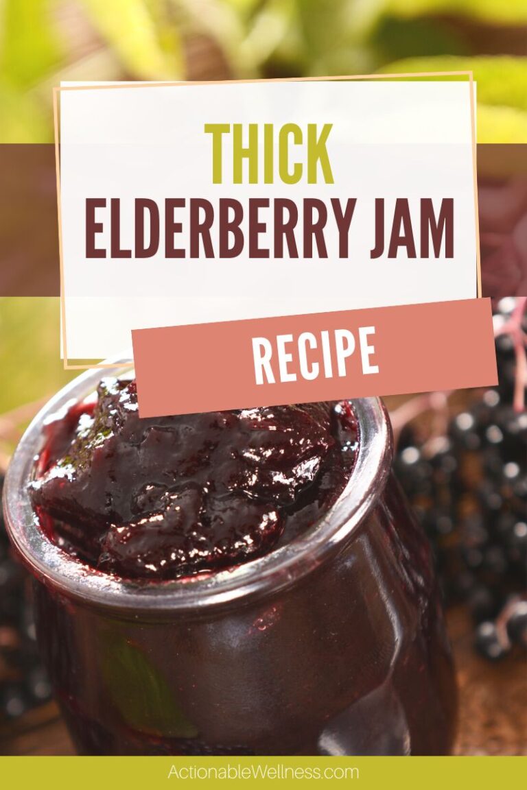 elderberry jam recipe