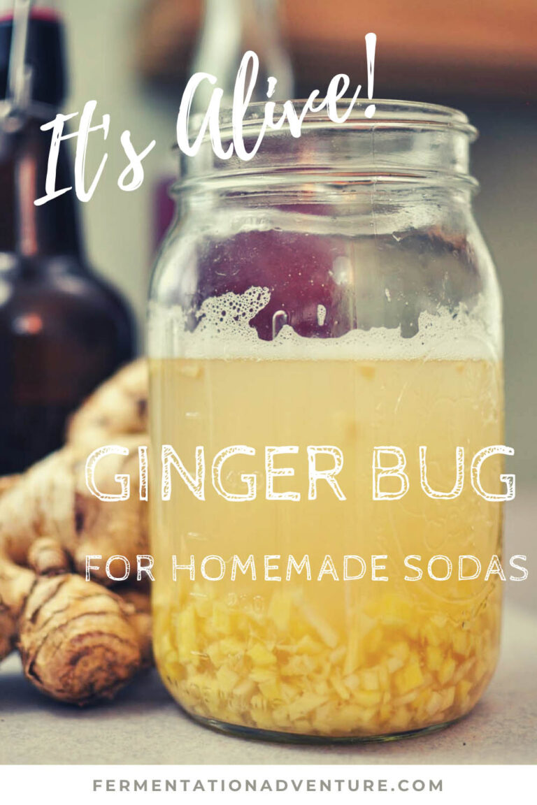 ginger bug soda recipe