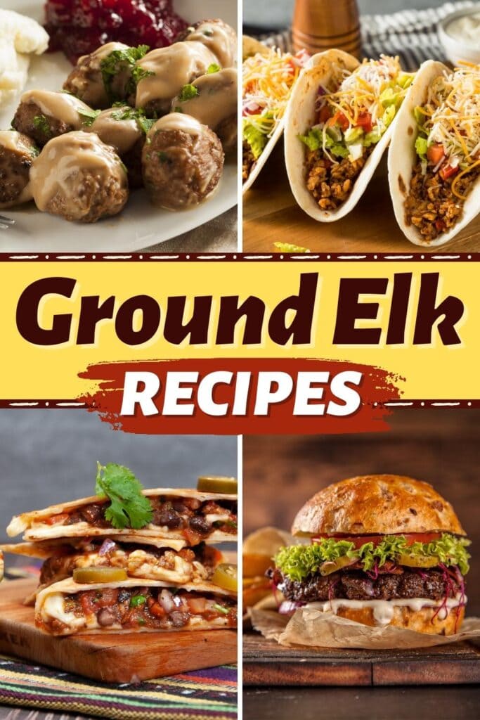 ground elk recipe
