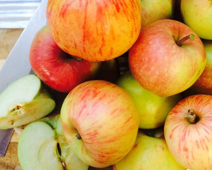 recipe with stewed apple