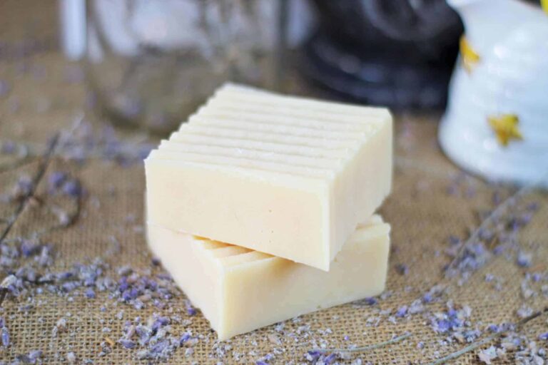 tallow soap recipe